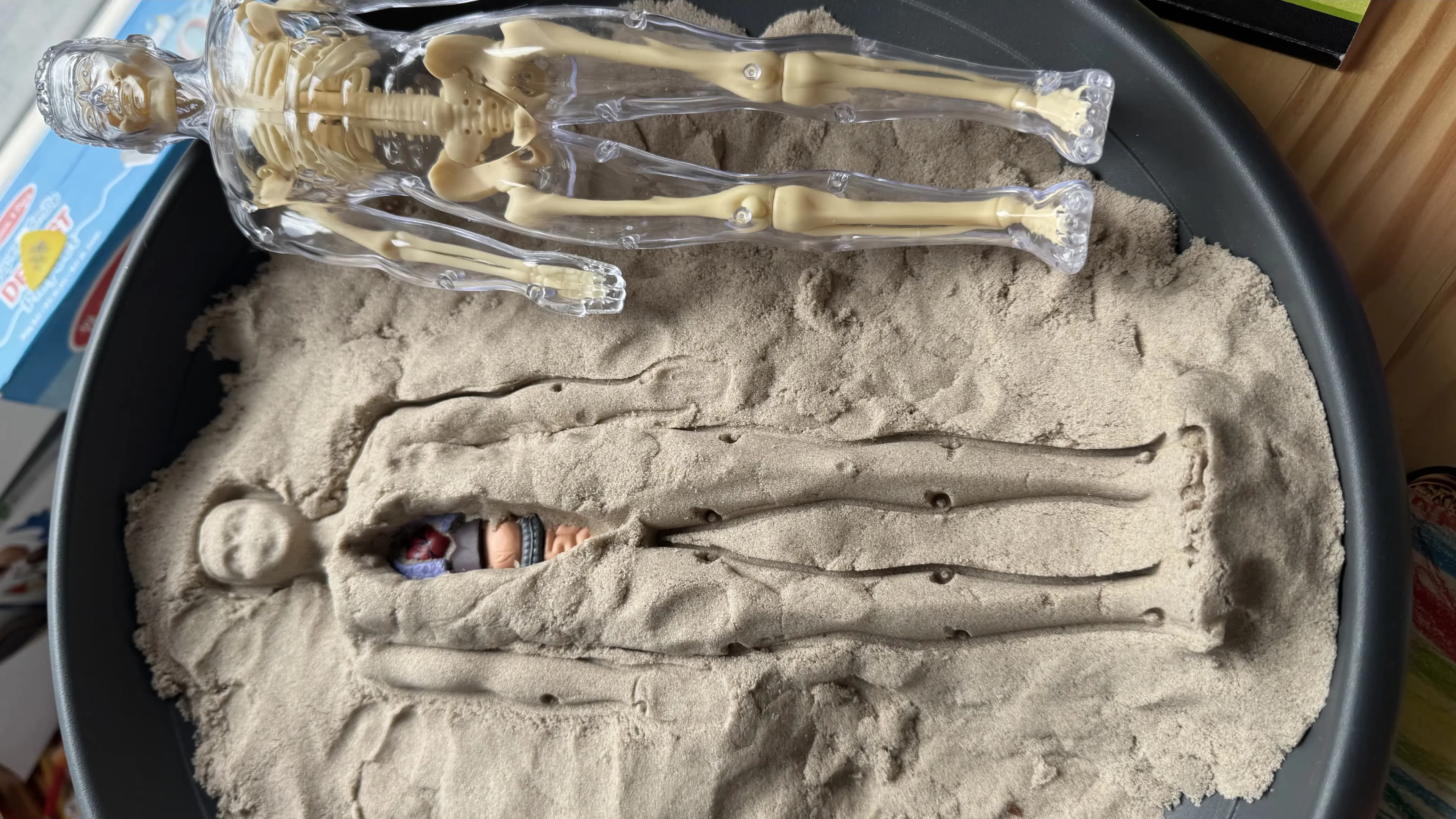 Kinetic sand patient on a tray with plastic organs buried