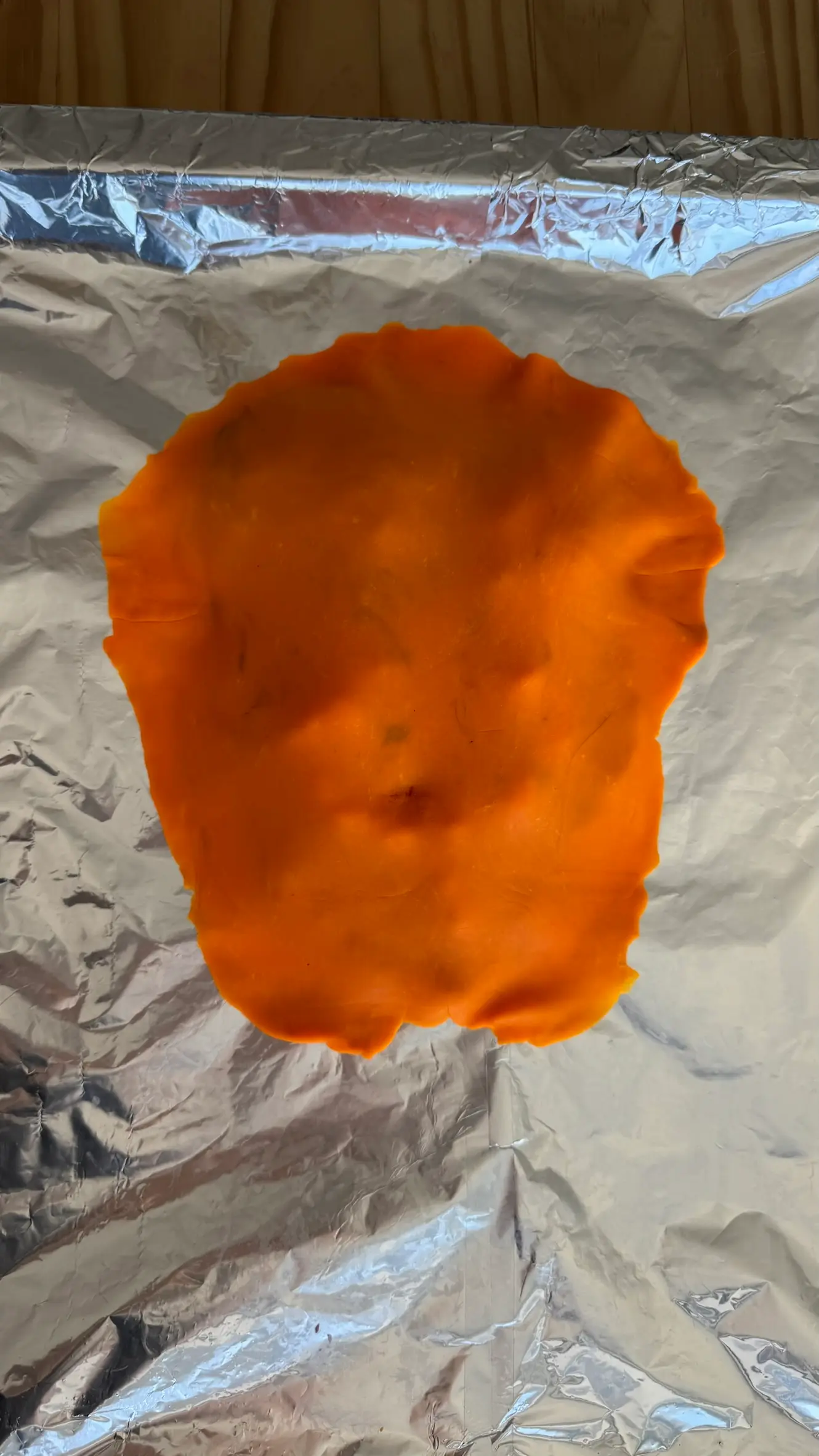 Layer of orange play-dough representing skin over the organs